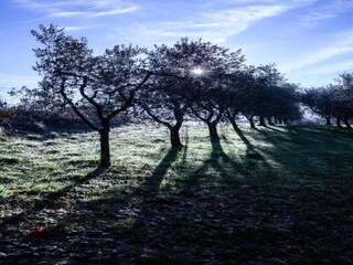 Maison de vacances Lucca Environnement 27