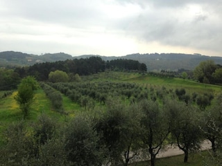 Holiday house Lucca Environment 29