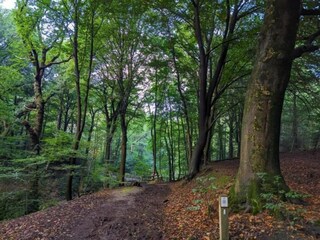 Parque de vacaciones Groesbeek Entorno 12
