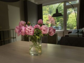 Ferienpark Groesbeek  38