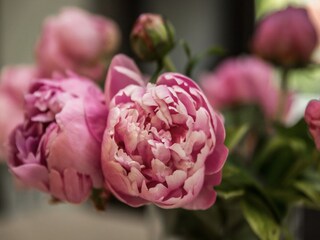 Ferienpark Groesbeek  39