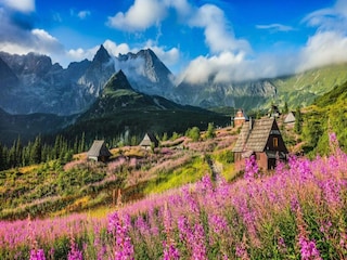 Holiday house Zakopane Environment 14