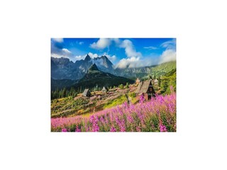 Ferienhaus Zakopane Umgebung 17
