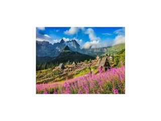 Casa per le vacanze Zakopane Ambiente 21