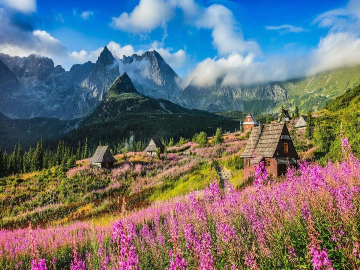 Ferienhaus Zakopane Umgebung 14