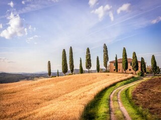 Appartement Gambassi Terme Environnement 20