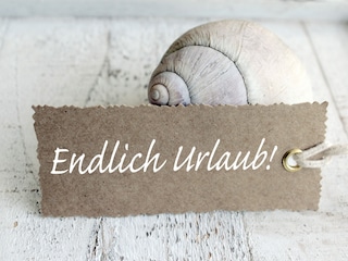 Endlich Urlaub im Muschelsucher