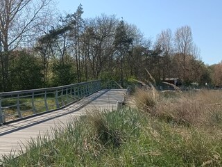 Barrierefreie Dünenpromenade mit Meerblick