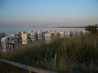 Blaue Stunde am Strand