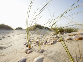 Strand von Boltenhagen 300 Meter entfernt