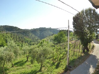 Maison de vacances Torcigliano Enregistrement extérieur 16