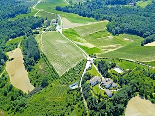 Ferienpark Montaione Umgebung 31