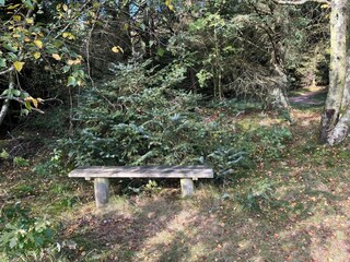 Ferienhaus Fjerritslev Außenaufnahme 8