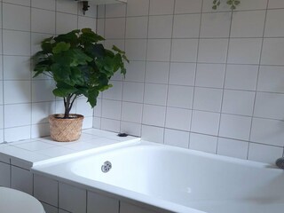 Ferienhaus Egmond aan Zee  11