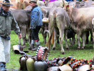 Vakantieappartement Mittelberg Buitenaudio-opname 12