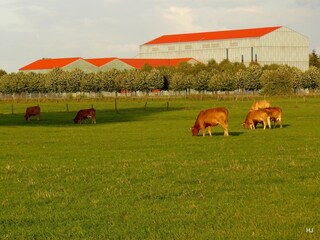 Appartamento per vacanze Xanten Ambiente 22