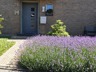 Appartamento per vacanze Xanten Registrazione all'aperto 5