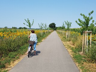 Apartamento de vacaciones Xanten Entorno 23