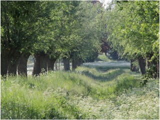 Appartamento per vacanze Xanten Ambiente 33