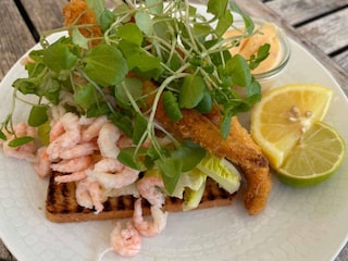 Ferienhaus Skagen  15