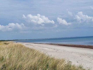 Ferienhaus Marielyst Außenaufnahme 7