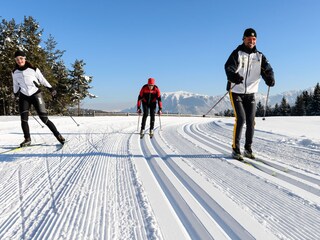Appartamento per vacanze Deutschnofen Ambiente 21