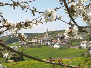 Appartamento per vacanze Deutschnofen Ambiente 25