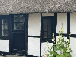 Ferienhaus Maribo Außenaufnahme 1