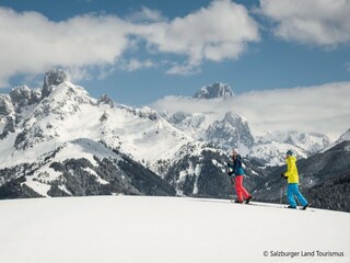 Vakantiepark St. Martin am Tennengebirge Omgeving 38