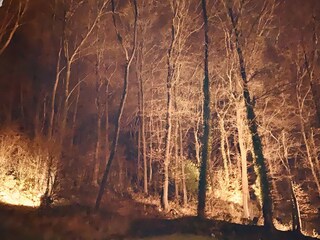 Villa Theux Enregistrement extérieur 7