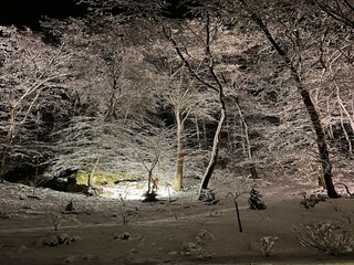 Villa Theux Buitenaudio-opname 9