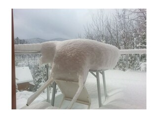 Holiday house Hornberg  6