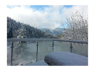 Casa per le vacanze Hornberg  7