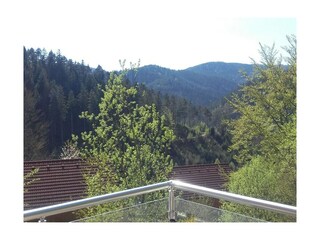 Ferienhaus Hornberg  8