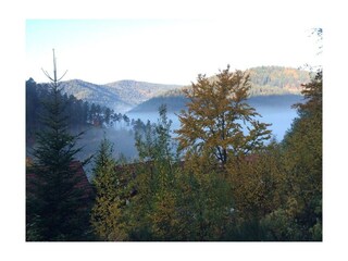 Holiday house Hornberg  21