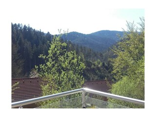 Casa de vacaciones Hornberg  10