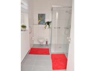 bathroom with walk-in shower