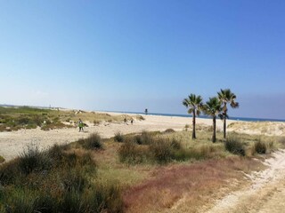 Appartement Conil de la Frontera Environnement 14