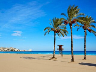 Apartment Conil de la Frontera Umgebung 26