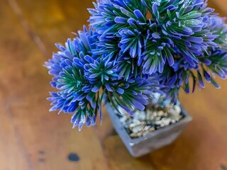 Apartment Conil de la Frontera  24