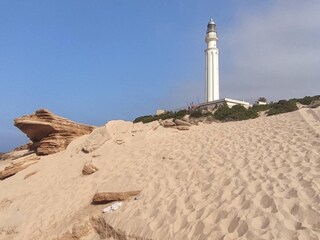 Apartment El Palmar Umgebung 14