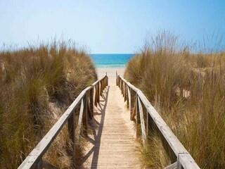 Apartment El Palmar Umgebung 16