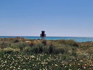 Appartamento El Palmar Ambiente 27