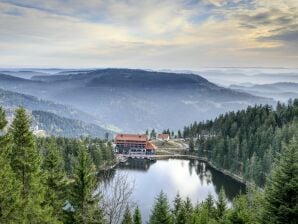 Ferienwohnung Honauer Loft 2