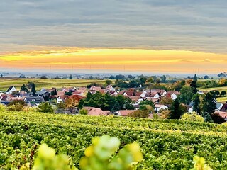 Holiday apartment Landau Environment 18