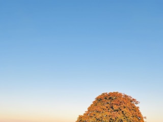 Ferienwohnung Landau Umgebung 21