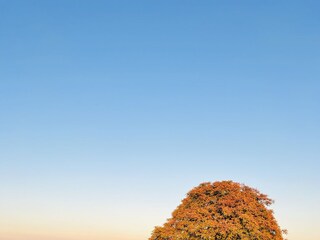 Holiday apartment Landau Environment 21