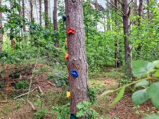 Ferienhaus Læsø  10