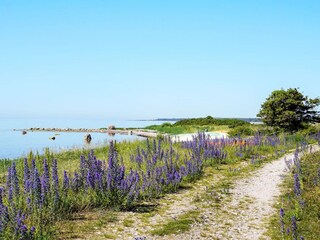 Holiday house Visby  8