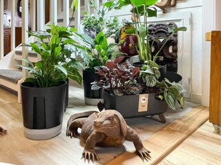 Ferienhaus Torsås  33